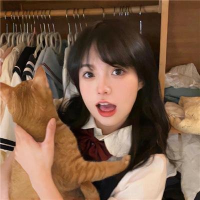 特警云豹